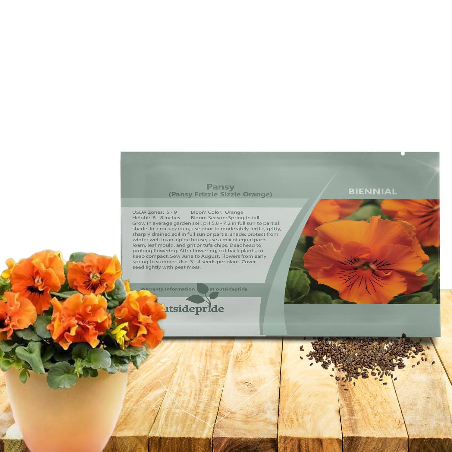 Amazon.com : Outsidepride Frizzle Sizzle Orange Viola Pansy Seeds